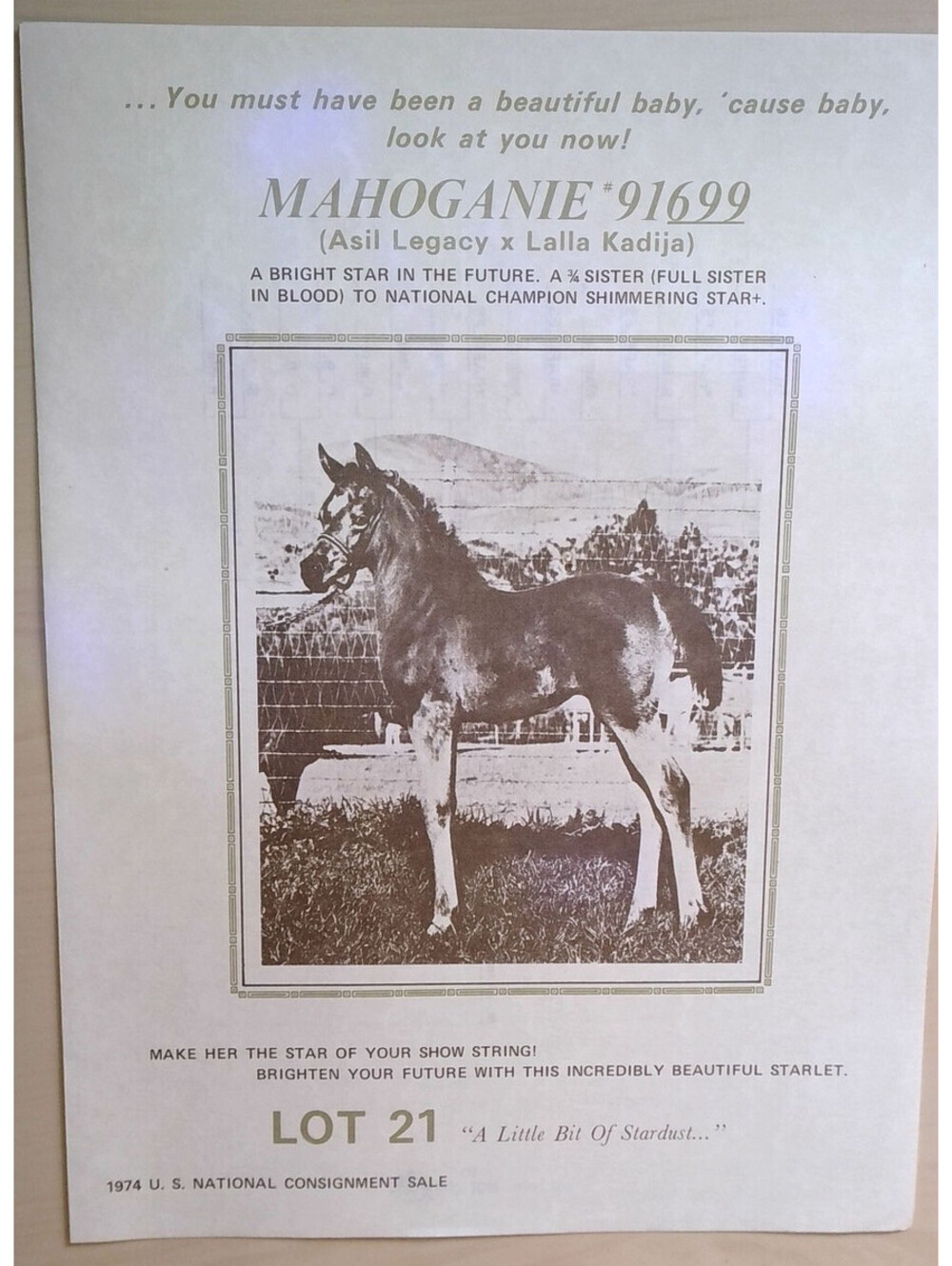 1974 US National Consignment Sale Catalog Page Mahoganie #91699 Arabian Horse